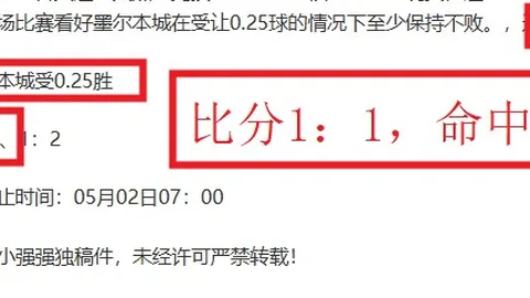 西哈姆2-1战胜狼队，胜利献给车祸中受伤的安东尼奥